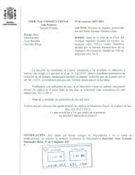 Ejemplo de respuesta del Tribunal Constitucional