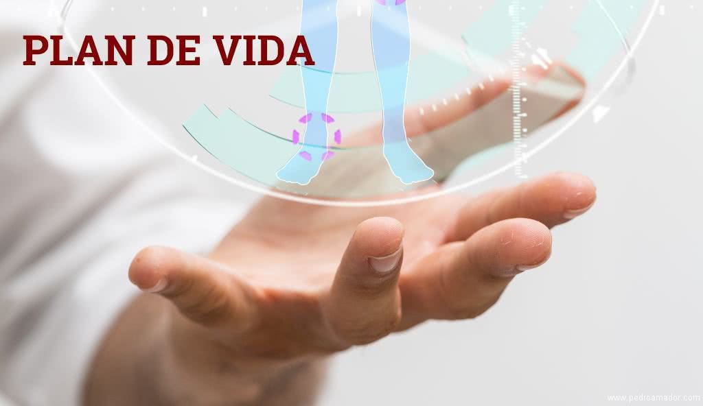 Cómo preparar un plan de vida