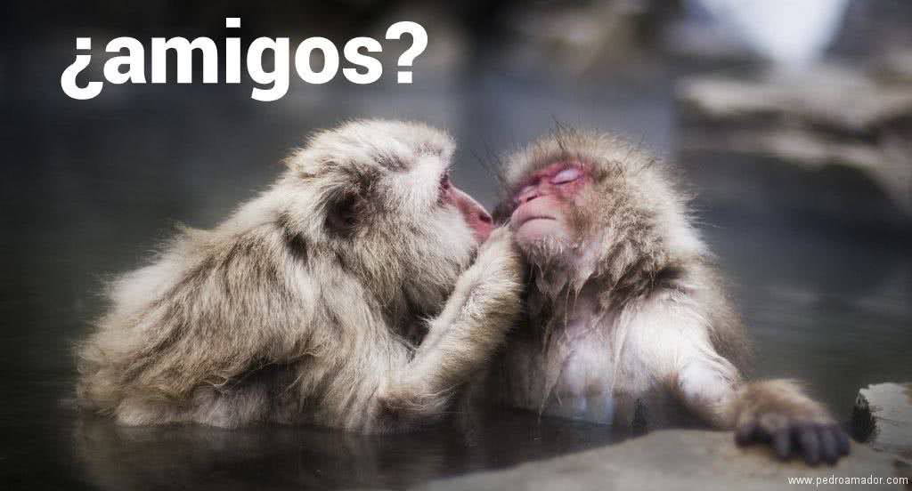 pensamientos-de-amistad-amigos pensamientos de amistad amigos 1024x552 - pensamientos-de-amistad-amigos