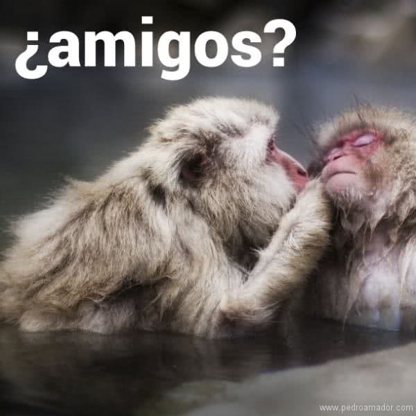 Pensamientos de amistad: un AMIGO es un tesoro Pensamientos de amistad: un AMIGO es un tesoro