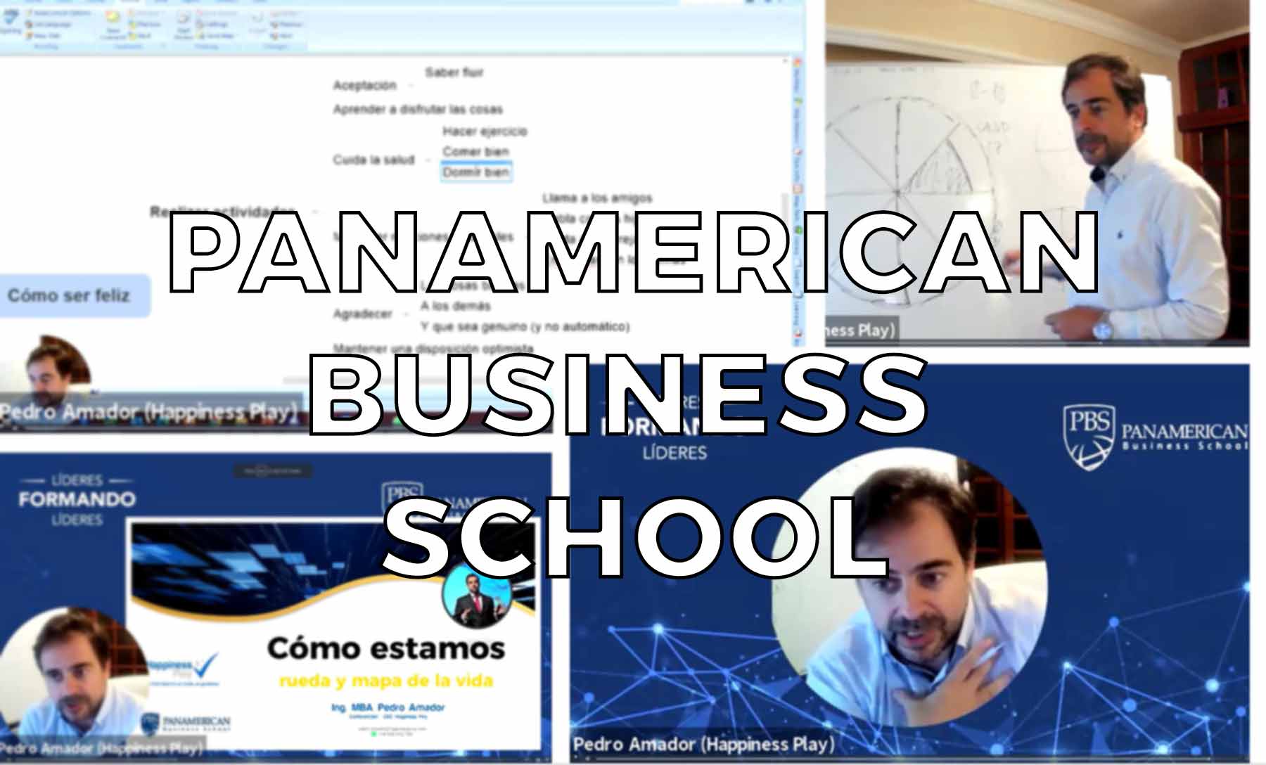 panamerican business school
