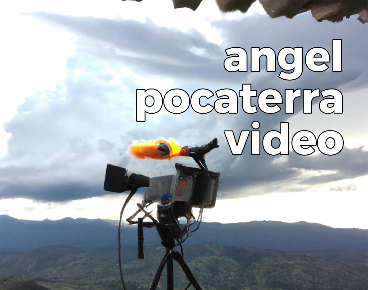 angel pocaterra video