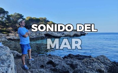 El Sonido Del Mar: Reflexiones y Pensamientos